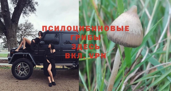 MDMA Баксан