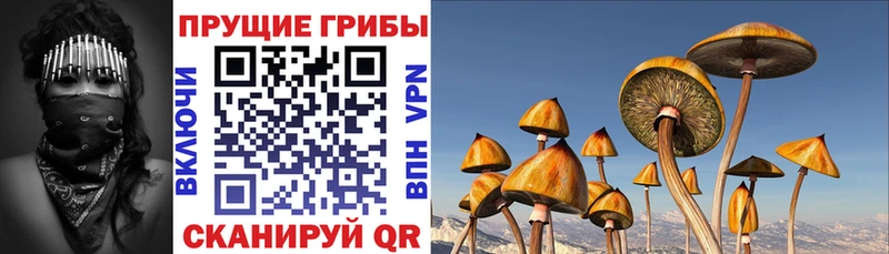 MEGA рабочий сайт  Саратов  Галлюциногенные грибы Psilocybe 